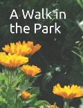 A Walk in the Park: A senior reader picture book for memory care / dementia care