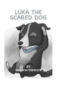 Luka The Scared Dog: Amanda Tarbuck