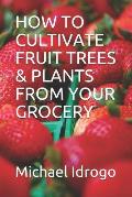 How to Cultivate Fruit Trees & Plants from Your Grocery