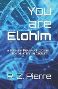 You are Elohim: A 5 Stage Pragmatic Guide to Identity in Christ