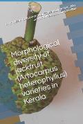 Morphological diversity of jackfruit (Artocarpus heterophyllus) varieties in Kerala