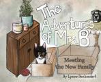 The Adventures of Mrs. B: Meeting The New Family