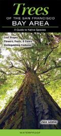 Trees of the San Francisco Bay Area A Guide to Native Species