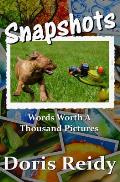 Snapshots: Words Worth a Thousand Pictures