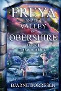 Freya and the Valley of Obershire, Book 1: The Return of Ishman