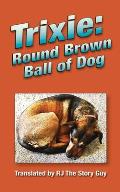 Trixie: Round Brown Ball of Dog: Round Brown Ball of Dog