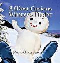 A Most Curious Winter's Night