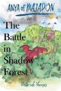 The Battle in Shadow Forest