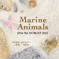 Marine Animals: from the Northeast Coast