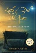 Little Did We Know (Large Print Edition): Eyewitnesses to the Advent