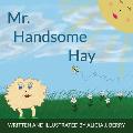 Mr. Handsome Hay