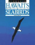 Discover Hawai'i's Soaring Seabirds