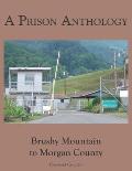 A Prison Anthology: Brushy Mountain to Morgan County
