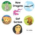 How Dragons Got Senses
