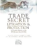 Trade Secret Litigation and Protection: A Practice Guide to the DTSA and the CUTSA