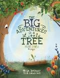 The Big Adventures Of A Little Tree: Tree Finds Hope