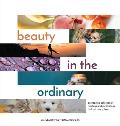 Beauty in the Ordinary: an inspiring collection of readings and meditations for Lent or any time
