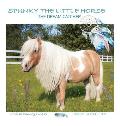 Spunky the Little Horse: The Dream Catcher