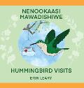Nenookaasi Mawadishiwe: Hummingbirds Visits