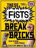 These Fists Break Bricks How Kung Fu Movies Swept America & Changed the World