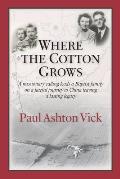 Where the Cotton Grows: A Missionary Calling Leads a Baptist Family on a Fateful Journey to China Leaving a Lasting Legacy