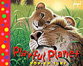 Playful Planet