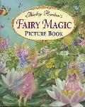 Fairy Magic Picture Book