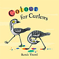 Colour for Curlews