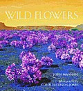 Southern Africa Wildflowers Jewels Of Th