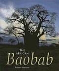 African Baobab