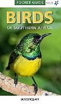 Pocket Guide Birds Of Southern Africa
