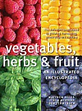 Vegetables Herbs & Fruit An Illustrated Encyclopedia