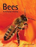 Bees A Natural History