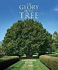Glory of the Tree An Illustrated History