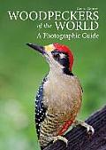 Woodpeckers of the World A Photographic Guide