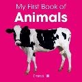 My First Book of Animals A Pull Out Toddler Book