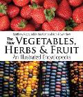 New Vegetables Herbs & Fruit An Illustrated Encyclopedia
