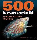 500 Freshwater Aquarium Fish A Visual Reference to the Most Popular Species