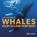 Encyclopedia of Whales Dolphins & Porpoises