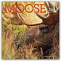 Moose 2016 Calendar