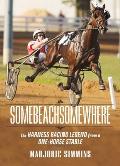 Somebeachsomewhere A Harness Racing Legend from a One Horse Stable