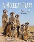 A Meerkat Diary: My Journey Into the Wild World of a Meerkat Mob