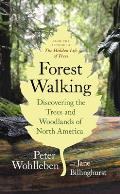 Forest Walking Discovering the Trees & Woodlands of North America