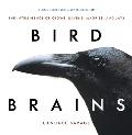Bird Brains The Intelligence of Crows Ravens Magpies & Jays