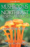 Mushrooms Of Northeast North America Midwest To New England