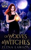 Of Wolves & Witches: Arcane Arts Academy