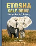 Etosha Self-Drive: Routes, Roads & Ratings