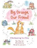 Big Orange, Our Friend: An Adorable & Heartwarming True Children's Story of Love and Kindness