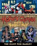 Harley Quinn & the Birds of Prey The Hunt for Harley