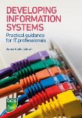 Developing Information Systems: Practical Guidance for It Professionals